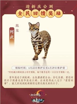 天龙八部私服隐藏任务